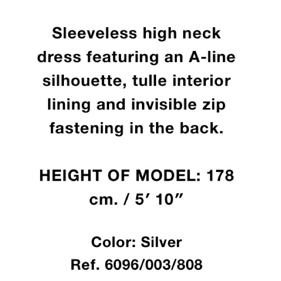 Zara silver sequin dress - Picture 6 of 6